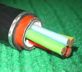 rs 485通訊電纜國標廠家 rs 485通訊電纜國標廠家